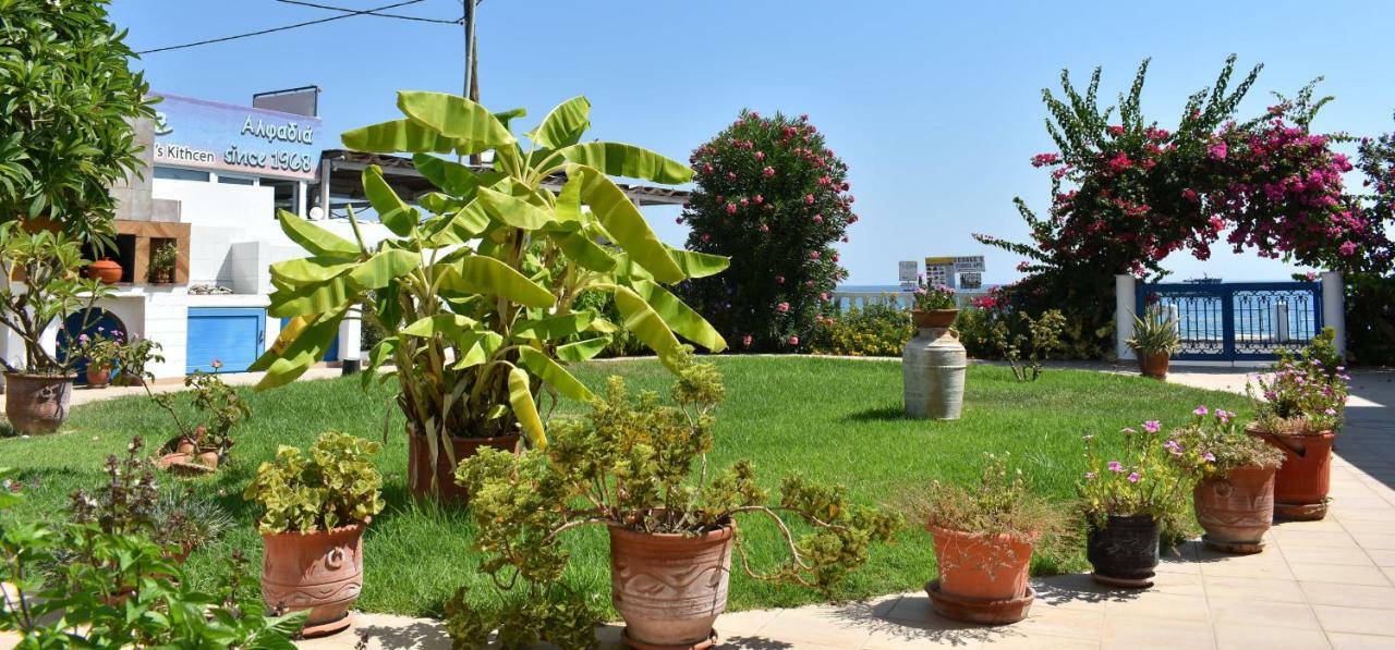 Antonios Apartments Stegna อาร์คานเยโลส ภายนอก รูปภาพ